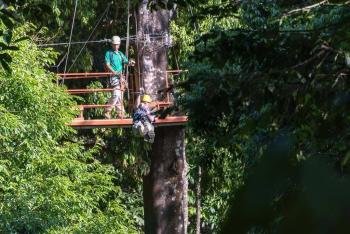 Canopy -Vuelo del Tucán, Pacífico Sur, Costa Rica 